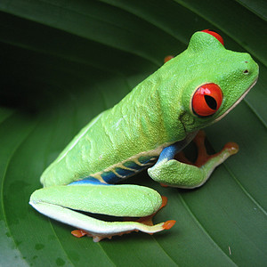 Foto del usuario