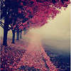 Foto de lOve.beautiful