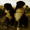 Foto de Tamy_Anouk