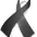 hviti