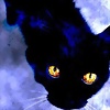 Foto de Eve_Gatita_Linda