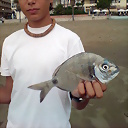 ale_pescador