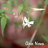 Foto de AnaNavaM