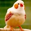 david_nm