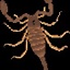 zeuspion