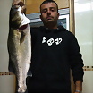 ltima foto del fotolog de vercellis