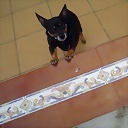 blumuneando