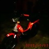 ZANELLA_RC211V