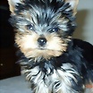 Foto de miseliuq