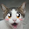 Foto de animeymanga1