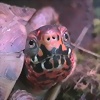Foto de marogo66