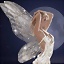 Shyrca_2