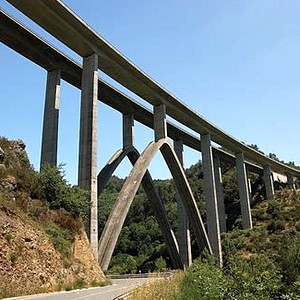 Foto del usuario