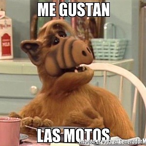 Foto del usuario