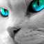 Loga_Laureta