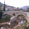 faleon