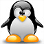 loony90