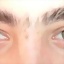 vicho_pan