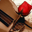 Foto de Encantolibra
