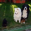 Foto de JL_fausto