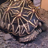 Foto de franluper