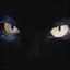 Darkinesa