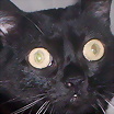 Foto de anatanitt