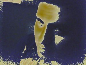 Foto del usuario
