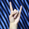 PATO_y_eli