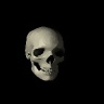 VLADI_77