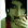 Foto de devildriver666