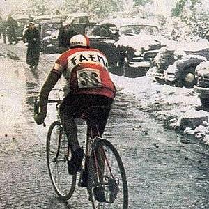 Foto del usuario