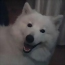Nemesys_tadasu