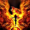 Foto de ferfx7