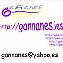 gannanes