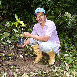 Foto del usuario