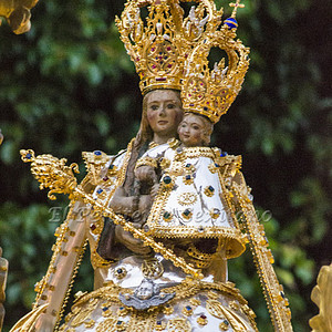 Foto del usuario