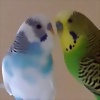 Foto de Valenc1ana