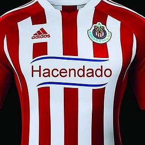 Foto del usuario