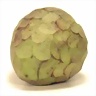 Chirimoya
