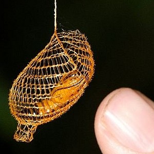 Foto del usuario