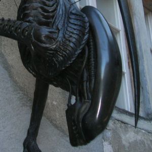 Foto del usuario