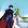 Foto de BunnyTsukino_SMoon