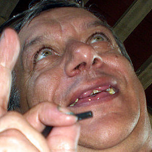 Foto del usuario