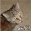 SK50