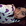 Foto de x_pokexiiikaa_x