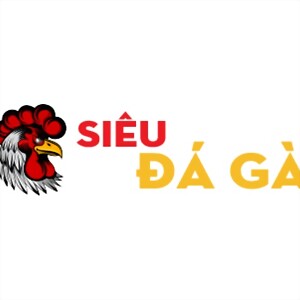 Foto del usuario