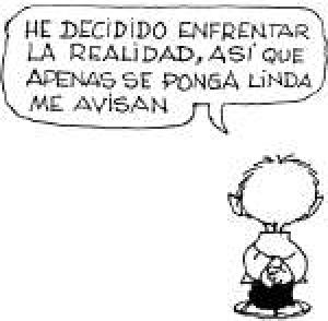 Foto del usuario