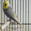 ltima foto del fotolog de Lutinos_21