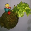 Foto de Roisindubh
